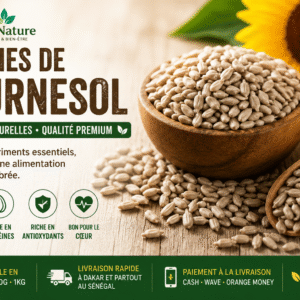 Graines de Tournesol au Sénégal – Qualité Premium | SunuNature