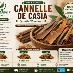 🌿 Cannelle de Cassia – Qualité Premium